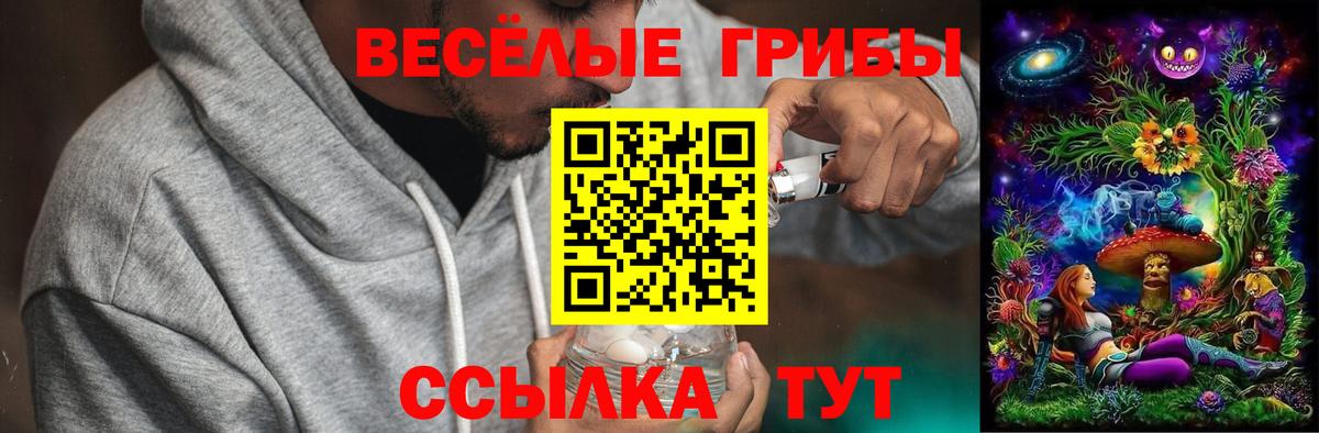 Псилоцибиновые грибы Psilocybe  Галлюциногенные грибы Psilocybe  где купить наркоту  Каспийск  Вход с VPN 