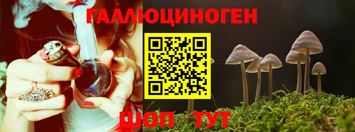 Псилоцибиновые грибы Magic Shrooms Каспийск